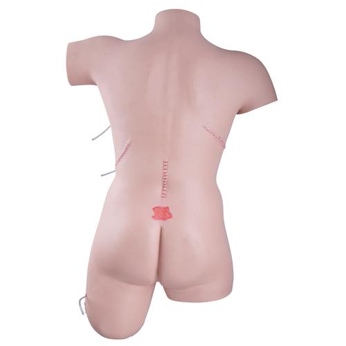 Anatomy Trainer Simulator Nursing Care Wound Kit