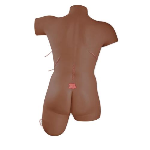 Simulateur de soins des plaies et techniques de pansement peau foncée, 1024569 [P100D], Sutures et bandages