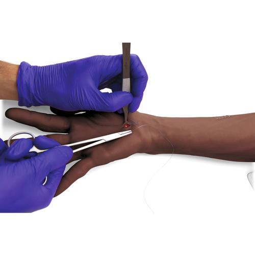 3B Scientific® 缝合练习手臂, 1023312 [P101D], 缝合和包扎