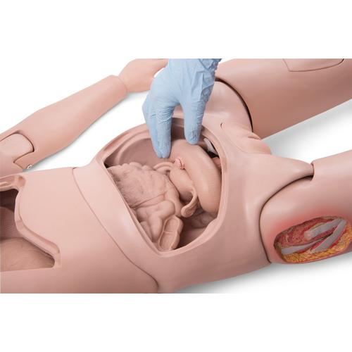 3B Scientific® Patient Care Manikin PRO, Light Skin, 1025295 [P10N], Catheterization