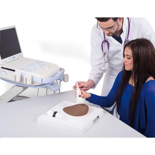 SONOtrain Breast Model with Cysts dark skin, 1024722 [P124D], Ultrasound Skill Trainers