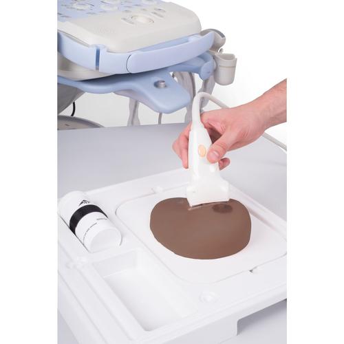 SONOtrain Modelo de tórax com cistos / Simulador para Treinamento de punção e aspiração de Mama Guiada por Ultrasom pele escura, 1024722 [P124D], Ultrasound Skill Trainers