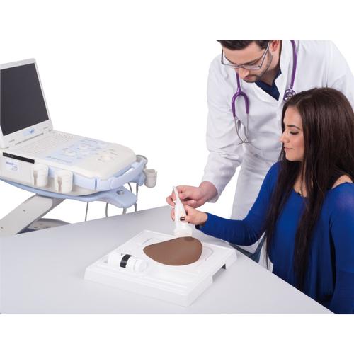 SONOtrain Breast model with tumours dark skin, 1024723 [P125D], Ultrasound Skill Trainers