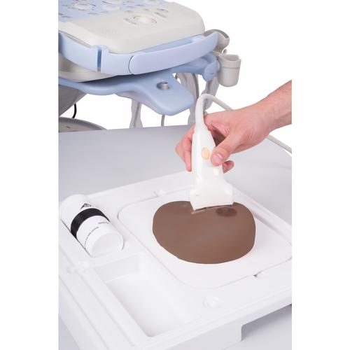 SONOtrain Breast model with tumours dark skin, 1024723 [P125D], Ultrasound Skill Trainers