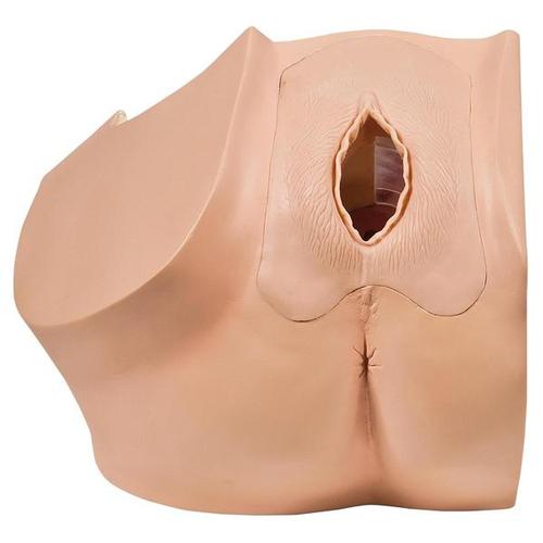 Maniquí ginecológico para la educación de pacientes., 1013705 [P53], Obstetricia