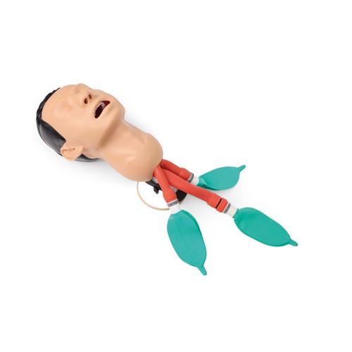 Airway Management Trainer, 1026007 [P73], Airway Management Adult