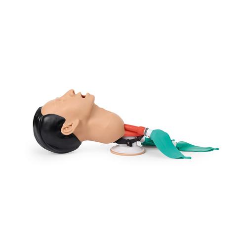 Airway Management Trainer, Light Skin, 1026007 [P73], Airway Management Adult