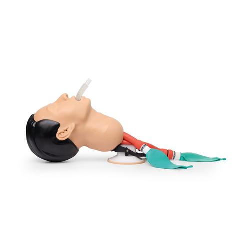 Airway Management Trainer, Light Skin, 1026007 [P73], Airway Management Adult