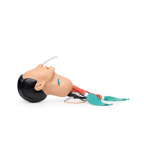 Airway Management Trainer, 1026007 [P73], Airway Management Adult