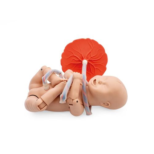 Mannequin obstétrique avancé pour simulation de naissance de nouveau-né