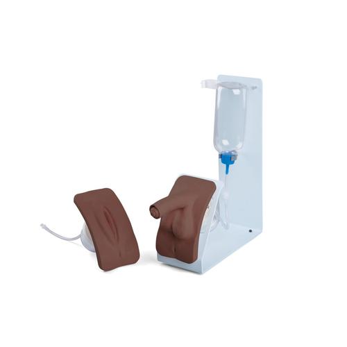 Catheterization Simulator Set Basic, Dark Skin , 1023323 [P93B-SD], Catheterization