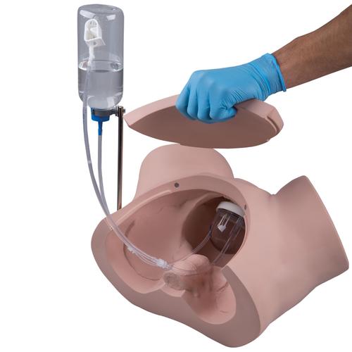 Catheterization Simulator PRO, male, 1020230 [P93P-M], Catheterization