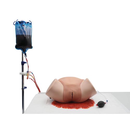 Postpartum Hemorrhage Simulator – PPH Trainer P97 PRO, Light Skin, 1023727 [P97P], Obstetrics