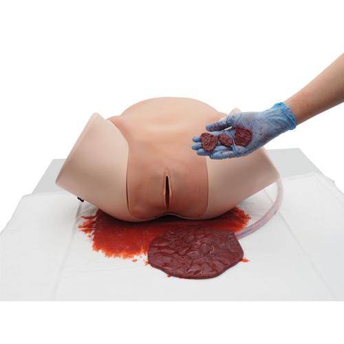 Postpartum Hemorrhage Simulator – PPH Trainer P97 PRO, Light Skin, 1023727 [P97P], Obstetrics