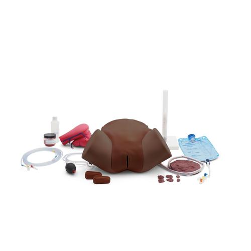 Postpartum Hemorrhage Simulator – PPH Trainer P97D PRO, Dark Skin, 1023975 [P97PD], Obstetrics