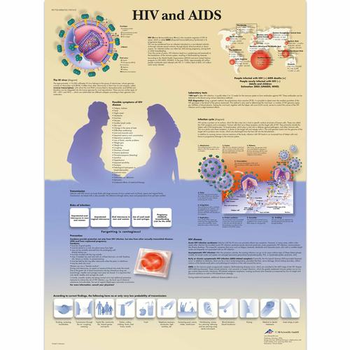 HIV and AIDS, 4006722 [VR1725UU], Educación sexual