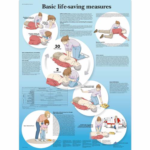 Basic Life Support, 4006725 [VR1770UU], Accesorios RCP