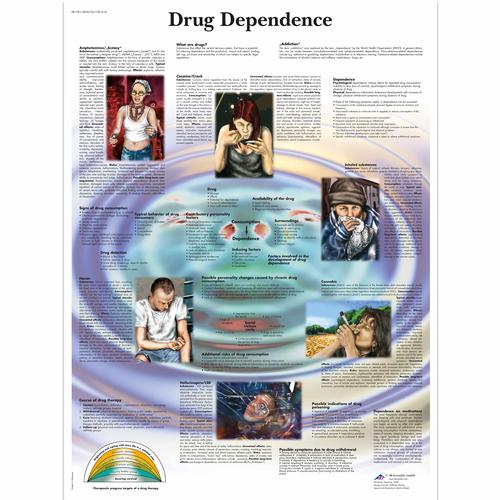 Drug Dependence, 4006726 [VR1781UU], Las adicciones