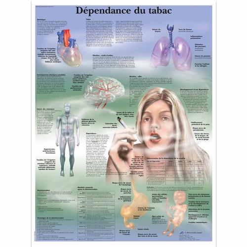 Dependance du tabac, 1001791 [VR2793L], 吸烟教育示意图