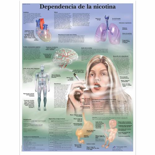 Dependencia de la nicotina, 1001955 [VR3793L], Tobacco Education