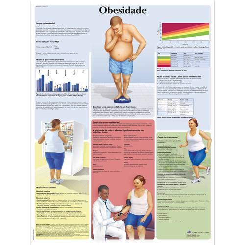 Obesidade, 50x67 cm, Versao Papel, 4007001 [VR5460UU], Sistema metabólico