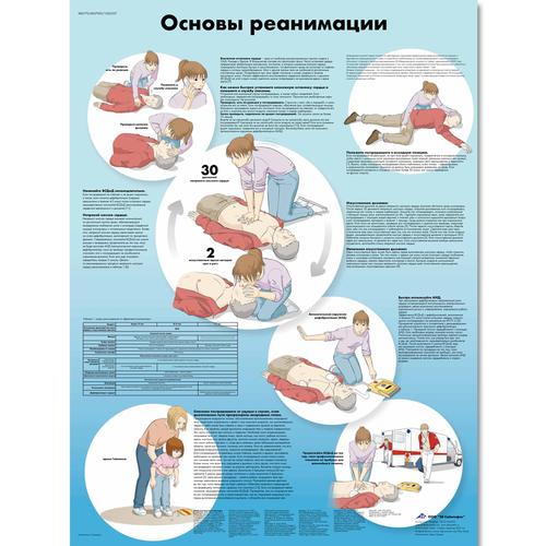 Медицинский плакат "Основы реанимации", 1002357 [VR6770L], Emergencia y RCP