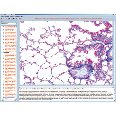 CD com microfotografias, microscópio virtual, desenhos, programas de teste, explicações detalhadas e material de acompanhamento para escola série B, contendo aprox. 700 figuras, 1004270 [W13451], Software de Biologia