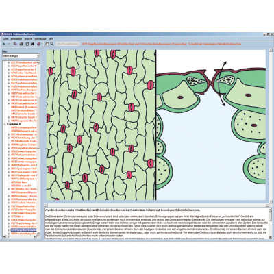 CD com microfotografias, microscópio virtual, desenhos, programas de teste, explicações detalhadas e material de acompanhamento para escola série B, contendo aprox. 700 figuras, 1004270 [W13451], Software de Biologia