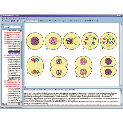 CD com microfotografias, microscópio virtual, desenhos, programas de teste, explicações detalhadas e material de acompanhamento para escola série B, contendo aprox. 700 figuras, 1004270 [W13451], Software de Biologia