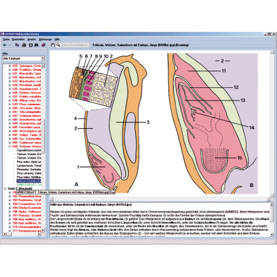 CD com microfotografias, microscópio virtual, desenhos, programas de teste, explicações detalhadas e material de acompanhamento para escola série B, contendo aprox. 700 figuras, 1004270 [W13451], Software de Biologia