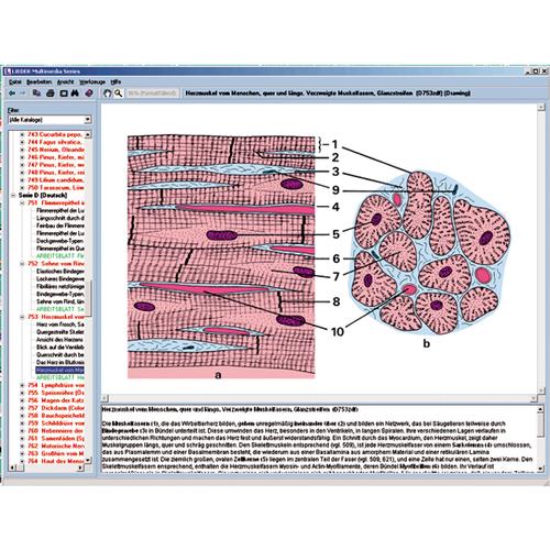 CD com microfotografias, microscópio virtual, desenhos, programas de teste, explicações detalhadas e material de acompanhamento para escola série B, contendo aprox. 700 figuras, 1004270 [W13451], Software de Biologia