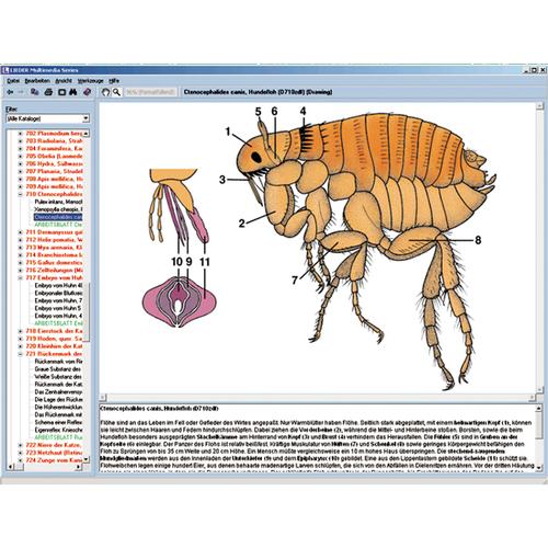 CD com microfotografias, microscópio virtual, desenhos, programas de teste, explicações detalhadas e material de acompanhamento para escola série B, contendo aprox. 700 figuras, 1004270 [W13451], Software de Biologia