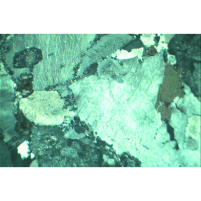 Rochas e Minerais, Conjunto Básico nº. II, 1012498 [W13455], Preparados para microscopia LIEDER