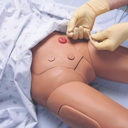 Kelly, mannequin de simulation patient, convient au simulateur SimPad, 1005243 [W19569], Mesurer la pression artérielle
