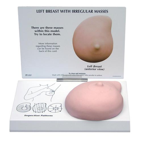 Left Breast Model with Irregular Masses, 1019558 [W33385], Mell modellek