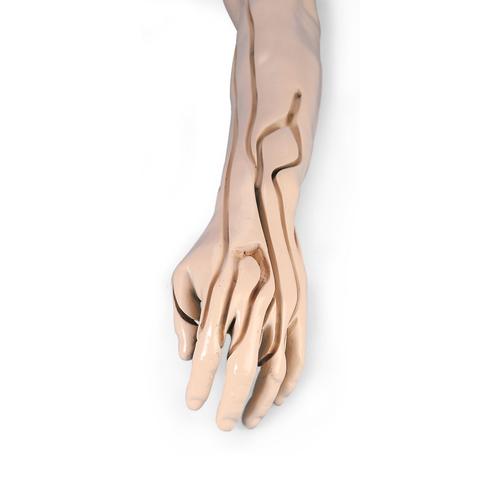 高级型静脉穿刺及注射练习用手臂模型，浅色皮肤, 1005678 [W44216], 注射和穿刺