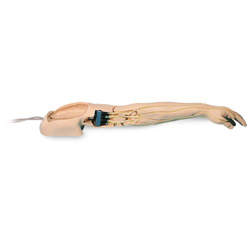 高级型静脉穿刺及注射练习用手臂模型，浅色皮肤, 1005678 [W44216], 注射和穿刺