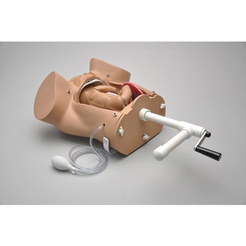 Labor Delivery Module for use with birthing simulator W45025 - 1005824 -  W45151 - Gaumard - S500.4.M - Options - 3B Scientific