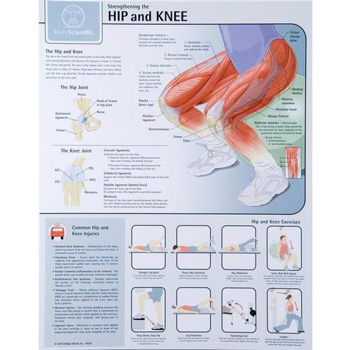 Strengthening the Hip and Knee Chart - Laminated, W59508, Fitness