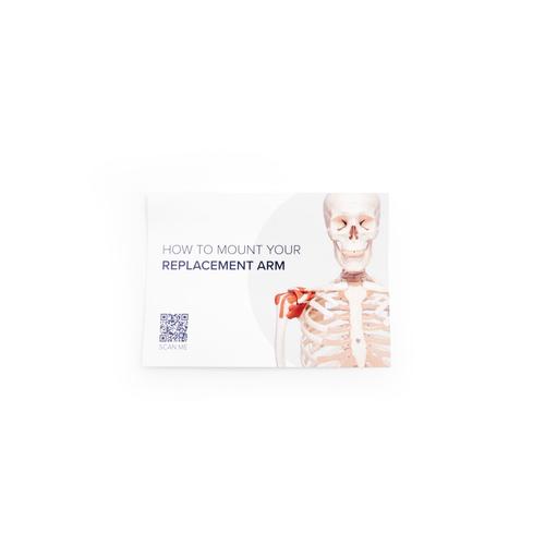 A13:Arm right capula, collarbone, 1017308 [XA037], Replacements