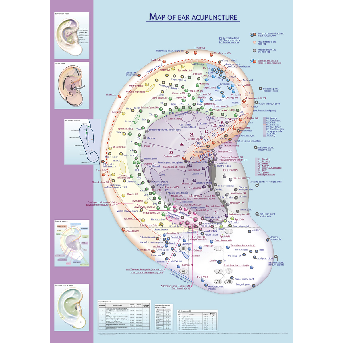 map-of-ear-acupuncture-english-paper-1013827-acupuncture-accessories