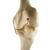 ORTHObones Стандартный Левое колено, 1019621, 3B ORTHObones Standard (Small)