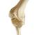 ORTHObones Стандартный Левое колено, 1019621, 3B ORTHObones Standard (Small)