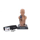 PAT Basic® - Affordable Pediatric Auscultation Manikin, light skin tone, 1020098, Auscultation