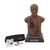 SAM Basic® - Affordable Adult Auscultation Manikin with laptop, dark skin tone, 1023422, Auscultation (Small)