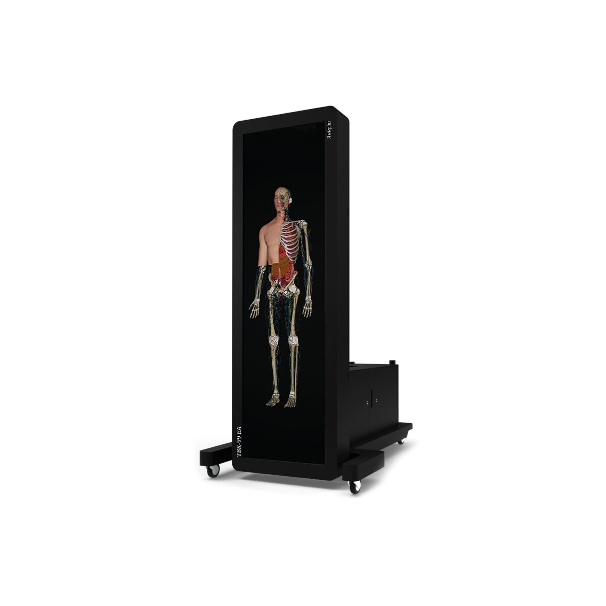 TBK 99 EA Virtual Dissection Table - 1023474 - Asclepius - TBK 99 EA ...