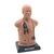 SAM Basic® - Affordable Adult Auscultation Manikin with laptop, light skin tone, 1024090, Auscultation (Small)