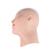 Сменный носовой канал и кожа головы Child Combo X Head Skin & Nasal Passage для интубационных манекенов человека AirSim Child Combo, 1024524, Дополнительная комплектация (Small)