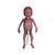 초미숙아 / 극저체중아(ELBW)  Micro-preemie Baby / Extremely Low Birth Weight Baby (ELBW)
, 1024668, Newborn (Small)