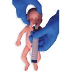 Lifecast bebé prematuro (piel clara / femenino), 1024671, ALS neonatal